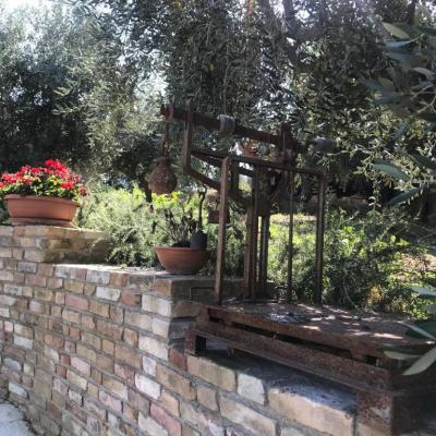 Casale Vincenzo - Giardino