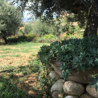 Casale Vincenzo - Giardino