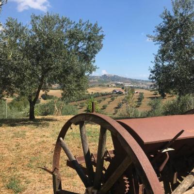 Casale Vincenzo - Giardino