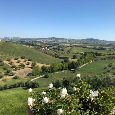 Casale Vincenzo - Vista colline