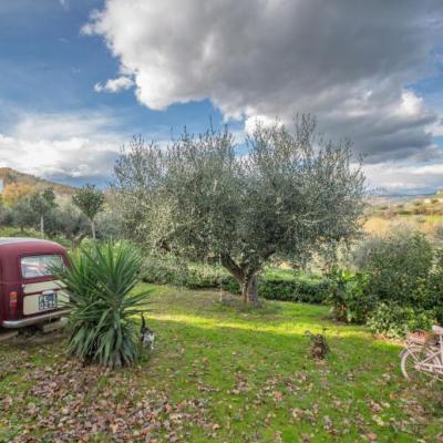 Casale Vincenzo - Vista Giardino